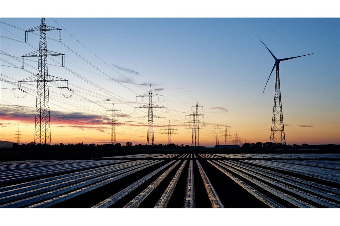 Viel Kritik an Plänen Reiches zu Reformen in Energiewende