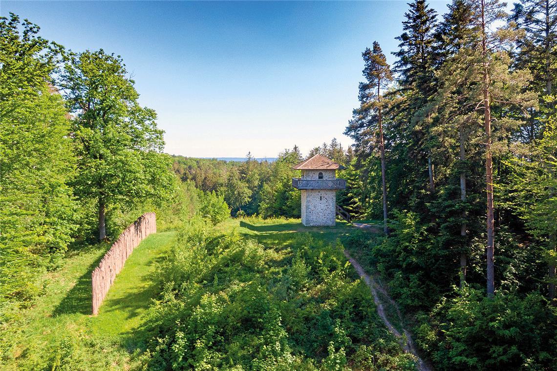 Mit Blick auf den Limesturm. Foto: Hardy Wieland/Schwäbischer Wald Tourismus