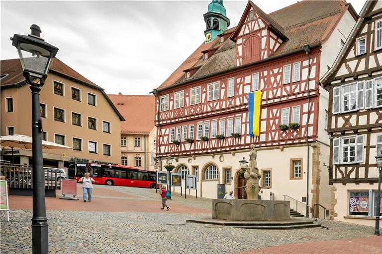 Mit dem Ausscheiden der Klimamanagerin Simone Lebherz ändert die Backnanger Stadtverwaltung auch ihre Strukturen. Foto: Alexander Becher