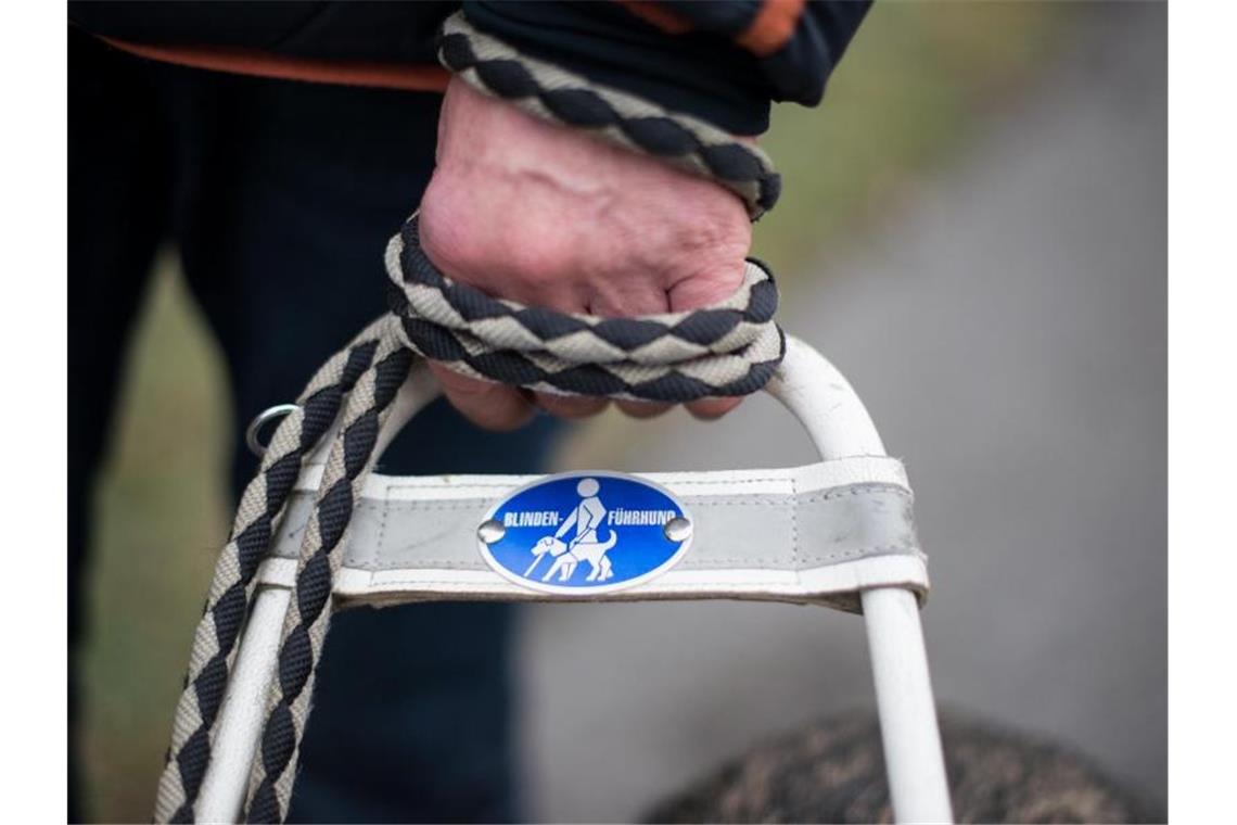 Blindenhund darf mit in die Arztpraxis Mit dem Blindenführhund sicher überall hinkommen. Foto: picture alliance / dpa