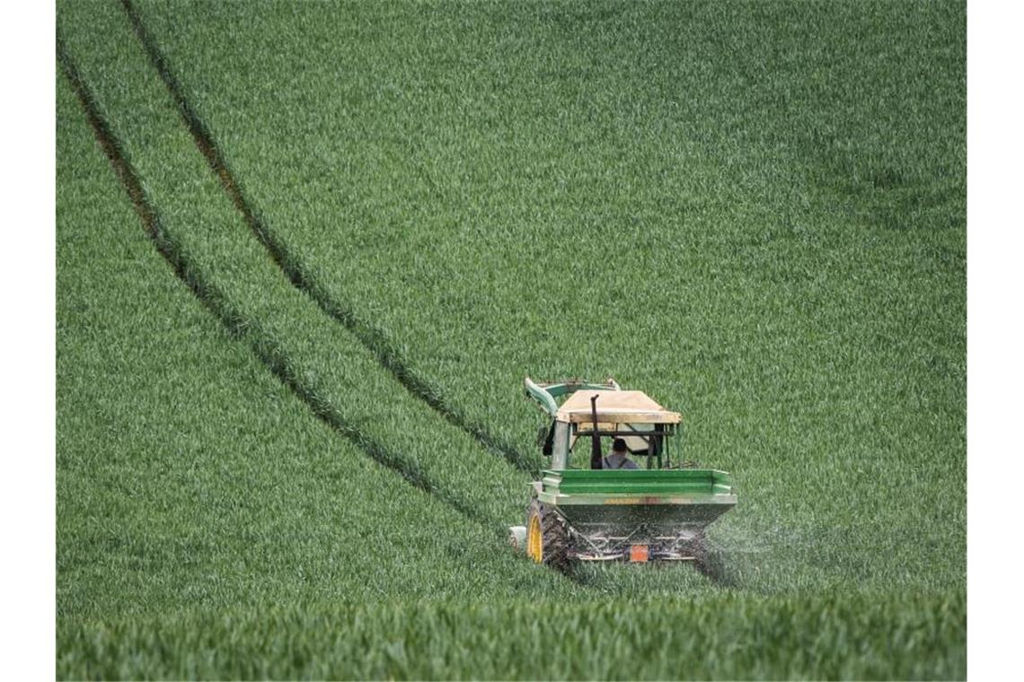 Mit dem Düngerstreuer am Traktor fährt ein Landwirt im Main-Kinzig-Kreis über ein noch grünes Getreidefeld. Foto: Frank Rumpenhorst/dpa