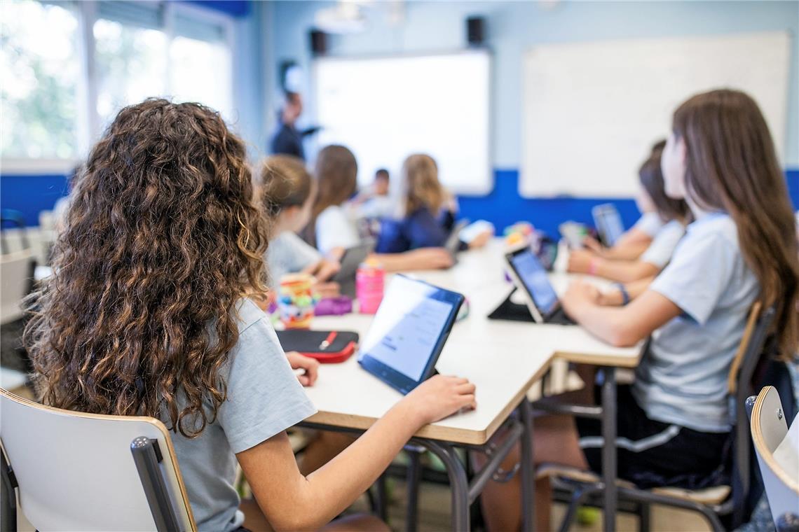 Mit dem Geld aus dem Förderprogramm sollen Schulen ihre digitale Infrastruktur verbessern. Symbolfoto: Adobe Stock/David Fuentes Photo