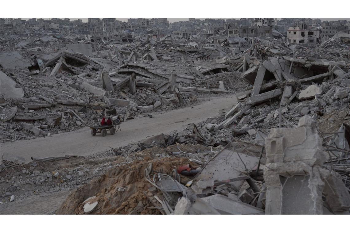 Bilder des Tages Mit dem Pferdewagen durch die Trümmer von Gaza