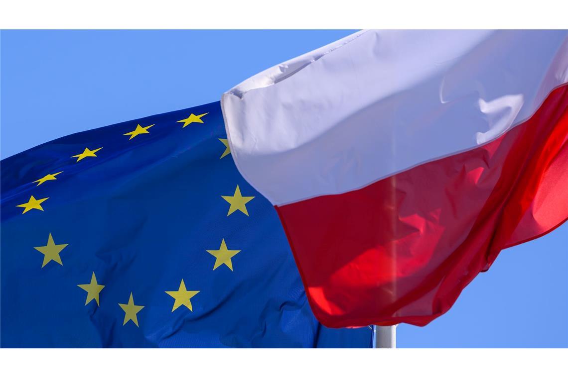Polen beginnt Grenzkontrollen - und nun? Mit den Kontrollen reagiert Warschau auf das verschärfte deutsche Grenzregime. (Illustration)