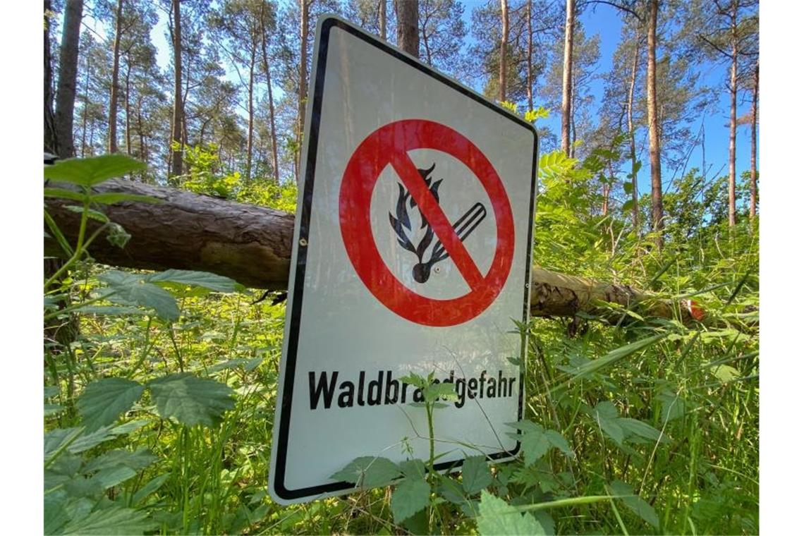 Mit der ersten Hitzewelle des Jahres in Deutschland steigt die Gefahr von Waldbränden weiter an. Foto: Julian Stratenschulte/dpa