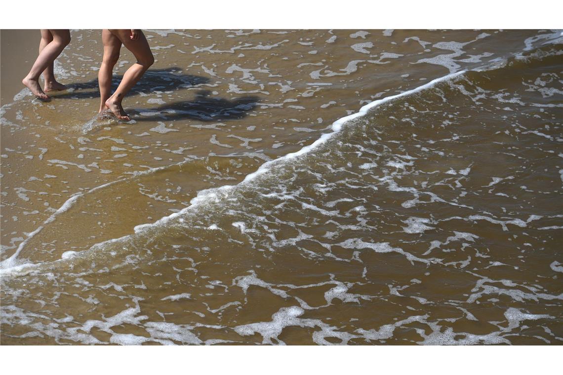 Gefahr durch Vibrionen: Sommerhitze lässt das Risiko steigen Mit der sommerlichen Hitze steigt das Risiko für Vibrionen-Infektionen an Nord- und Ostsee.