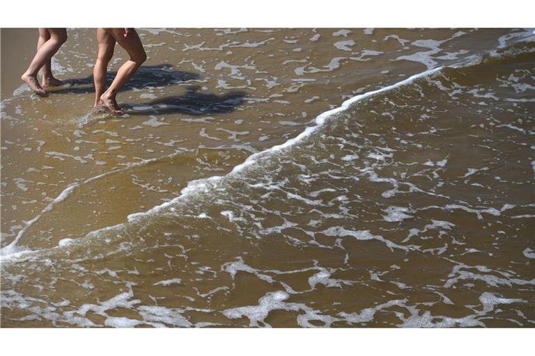 Mit der sommerlichen Hitze steigt das Risiko für Vibrionen-Infektionen an Nord- und Ostsee.