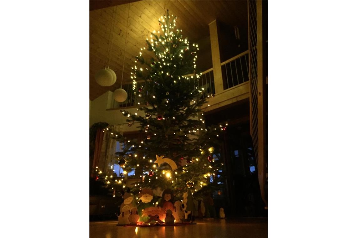 Mit diesem Baum im Wohnzimmer fühlt man sich wie im Weihnachtswald. XXXL hoch bi...