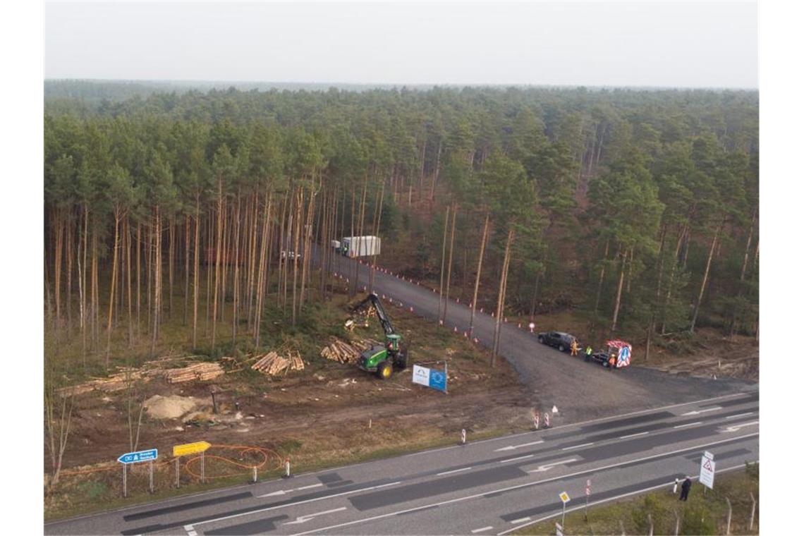 Mit einem Holzvollernter werden Bäume gefällt. Der US-Elektroautobauer Tesla lässt für sein neues Werk in Grünheide den Wald roden. Foto: Jörg Carstensen/dpa