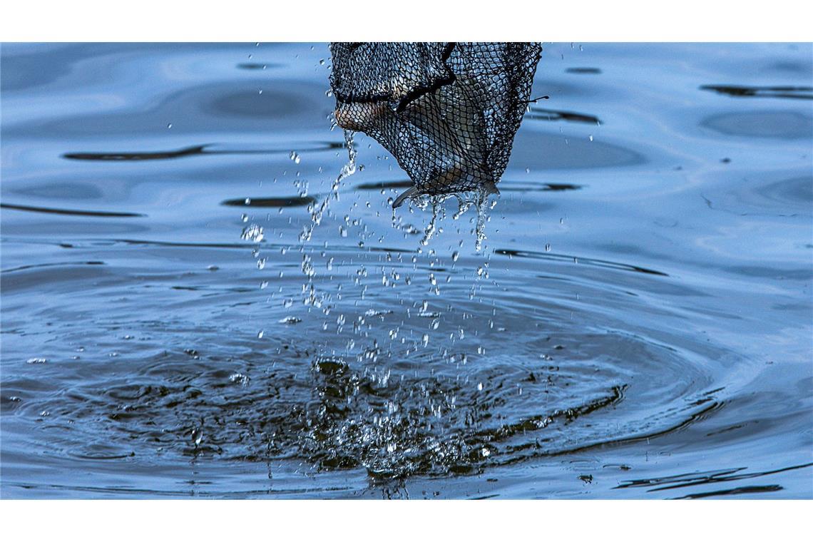 Bilder des Tages