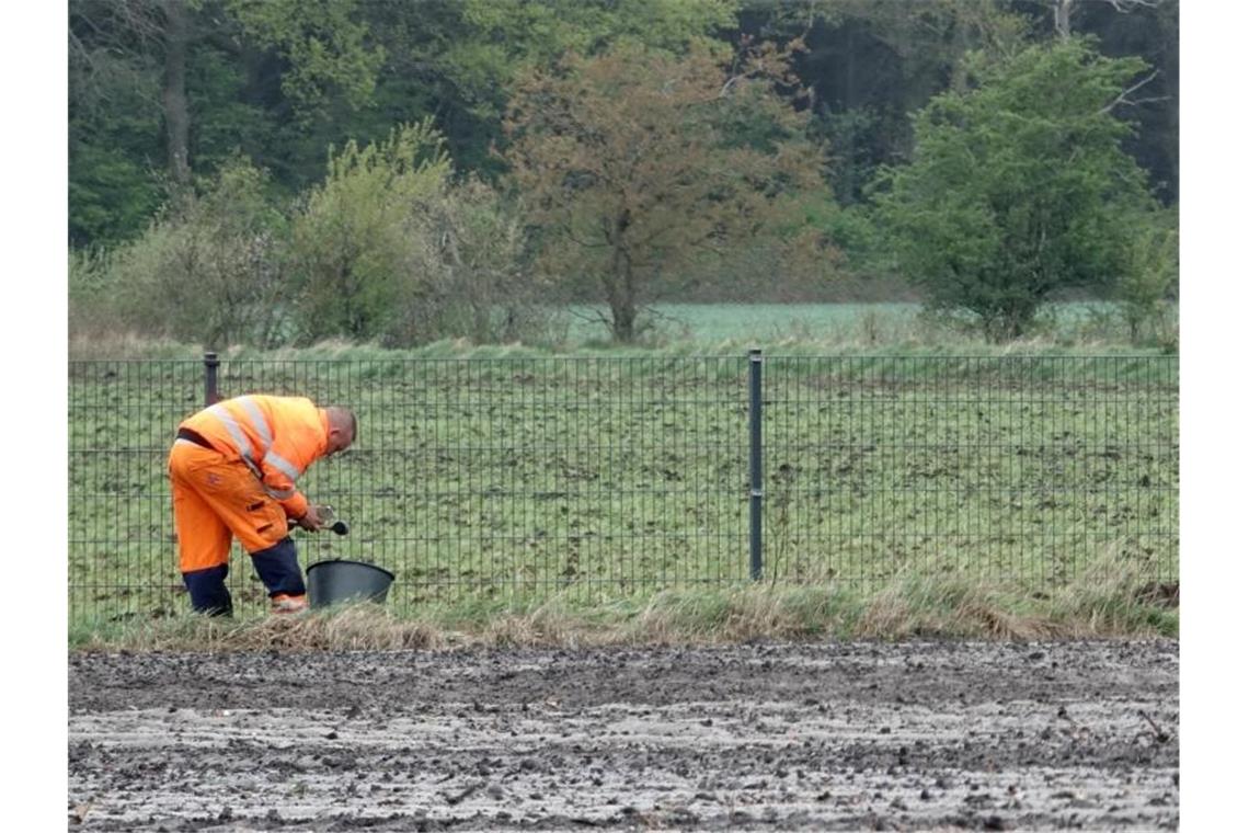 Mit einem knapp 70 Kilometer langen Zaun an der Grenze zu Deutschland will sich Dänemark vor der Afrikanischen Schweinepest schützen. Foto: Carsten Rehder/dpa