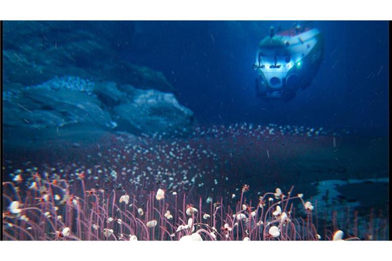 Mit einem speziellen Tauchboot haben Forschende den Grund von zwei Tiefseegräben im Pazifik erkundet – und dort eine überraschend reiche Lebenswelt entdeckt.