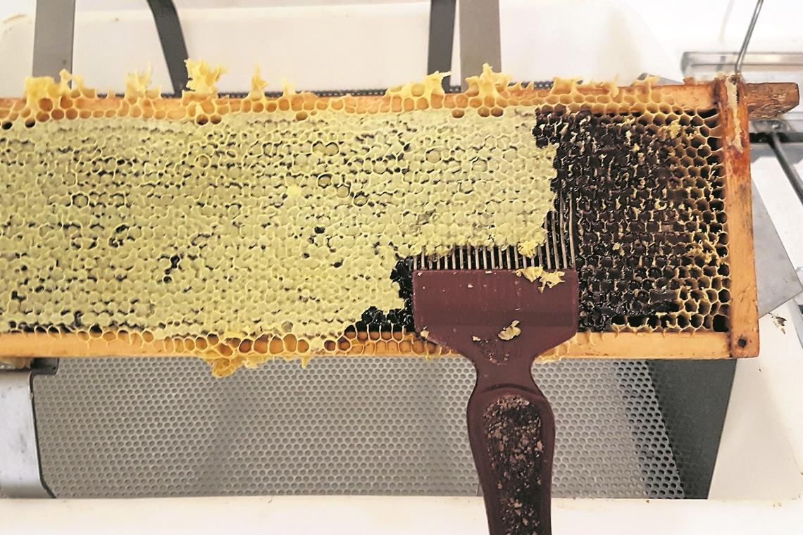 Die Lust auf eigenen Honig wecken Mit einer Art Gabel wird über die Waben gekratzt, um die sogenannten Deckel zu öffnen, damit geschleudert werden kann. Foto: privat