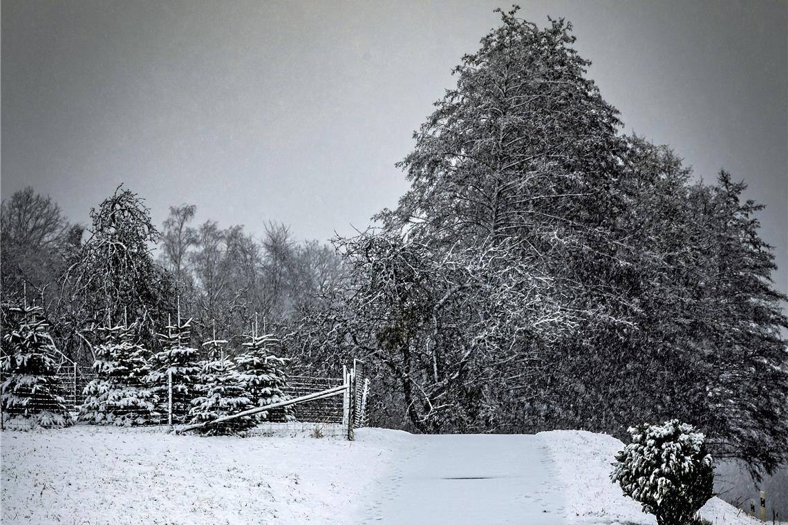 Mit einer guten Portion Schnee verabschiedet sich der Herbst. Foto: A. Becher