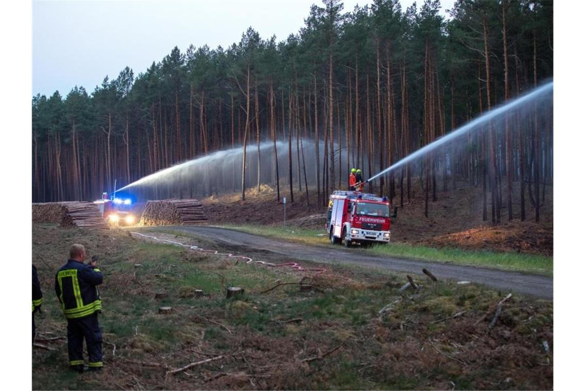 Mit mehreren Rohren versuchen Feuerwehrleute am Waldrand in der Nähe von Alt Jabel, den Brand einzudämmen. Foto: Jens Büttner