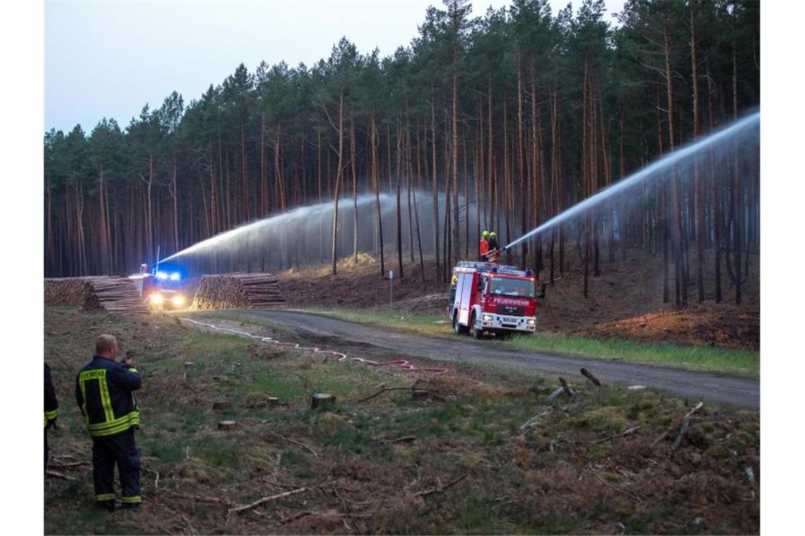 Wasserwerfer und Räumpanzer bei Brandbekämpfung Mit mehreren Rohren versuchen Feuerwehrleute am Waldrand in der Nähe von Alt Jabel, den Brand einzudämmen. Foto: Jens Büttner