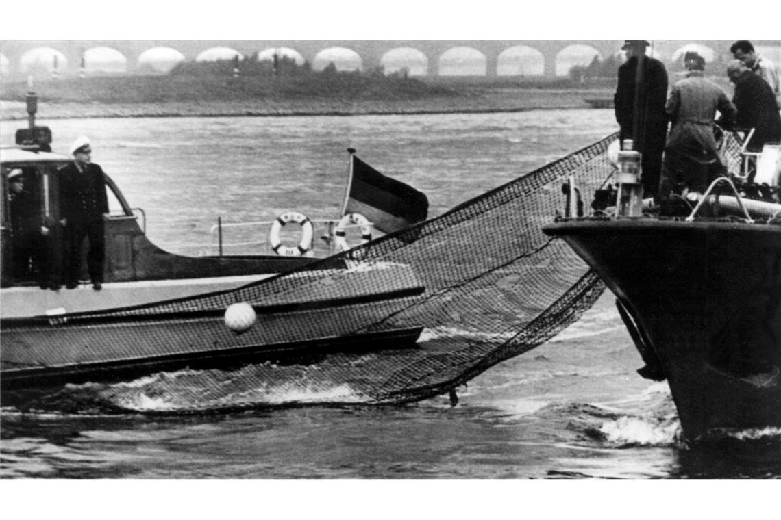 Mit Netzen und Stangen versuchten Helfer, den Wal in die richtige Richtung zu lenken - vergebens. (Archivbild)