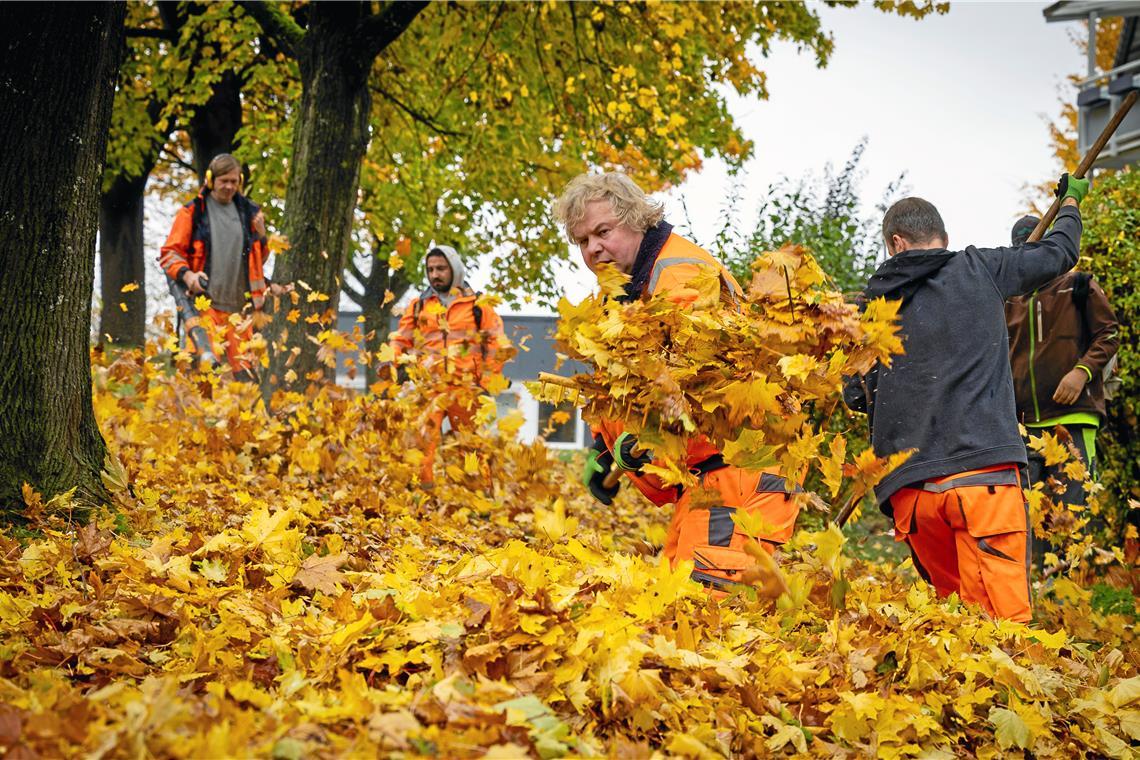 Im Kampf gegen die Laubberge Mit Rechen und Laubbläsern ausgestattet ist die Grünpflegekolonne in Backnang im Einsatz. Fotos: Alexander Becher