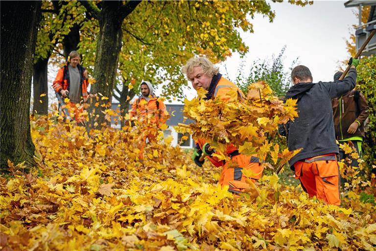 Im Kampf gegen die Laubberge Mit Rechen und Laubbläsern ausgestattet ist die Grünpflegekolonne in Backnang im Einsatz. Fotos: Alexander Becher
