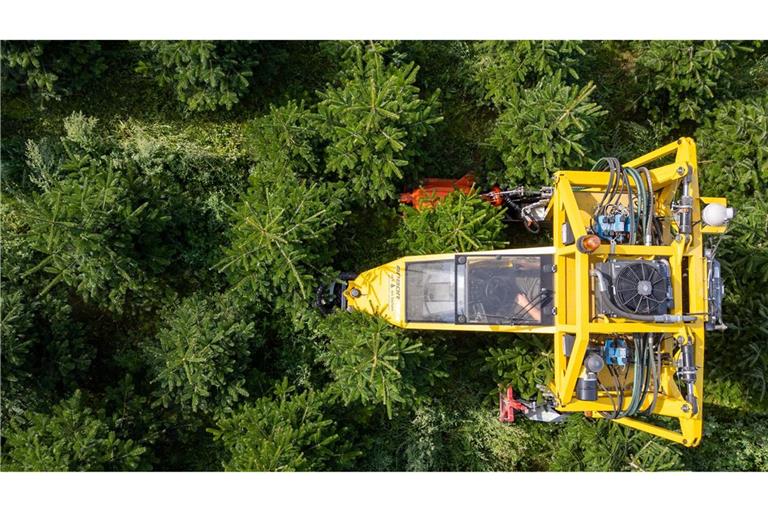 Mit seinem Baumschultraktor fährt Robert Kleinstäuber vom Weihnachtsbaumhandel "een Baum aus Sachsen" durch eine Plantage mit Nordmanntannen.