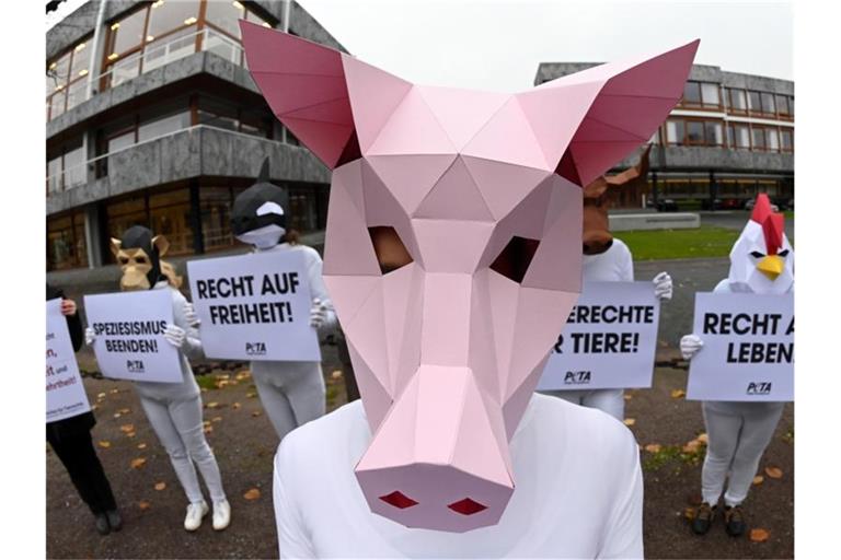 Mit Tiermasken verkleidete Aktivisten der Tierrechtsorganisation Peta protestieren mit Plakaten vor dem Bundesverfassungsgericht. Foto: Uli Deck/dpa