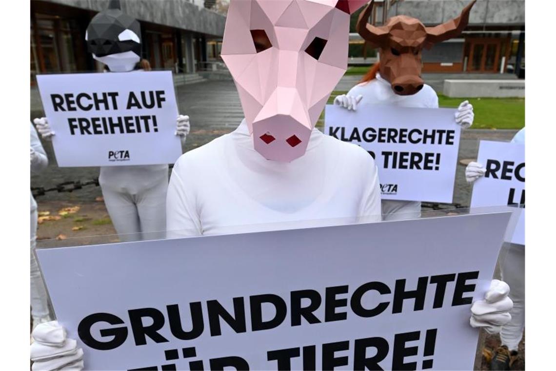 Tierschützer lassen kastrierte Ferkel in Karlsruhe klagen Mit Tiermasken verkleidete Aktivisten der Tierrechtsorganisation Peta protestieren mit Plakaten. Foto: Uli Deck/dpa