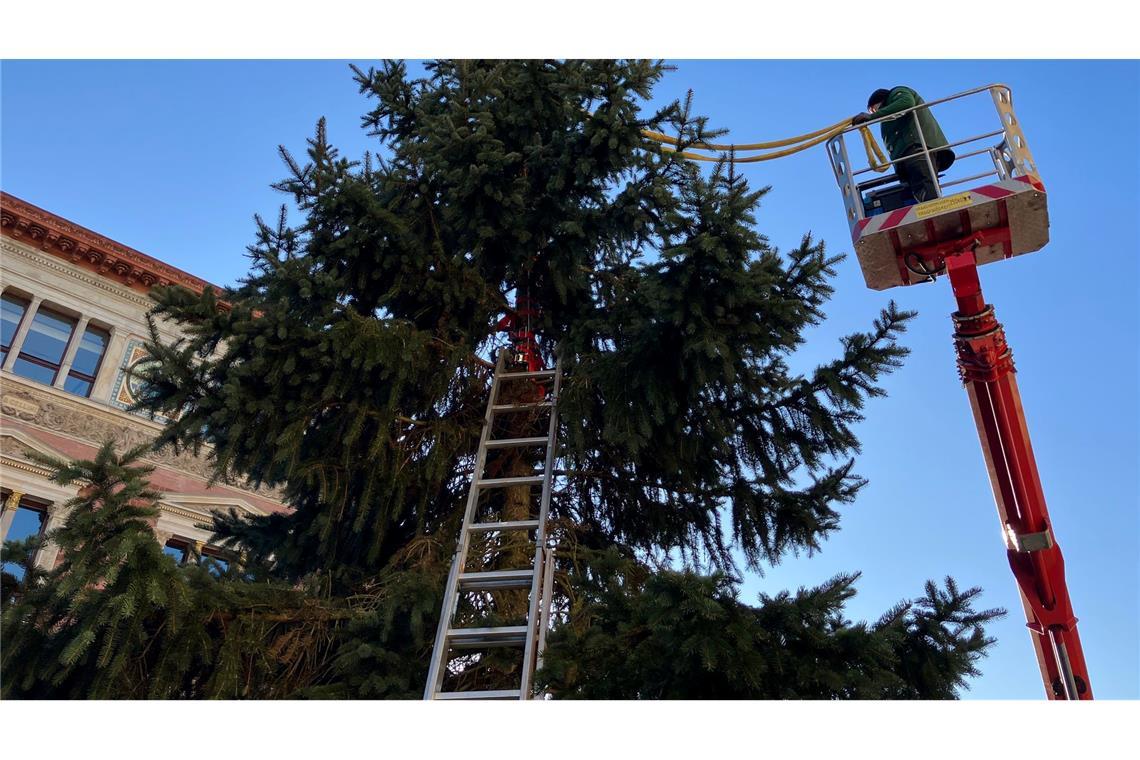 Mit viel Kreativität "retteten" Arbeiter den Baum zunächst.