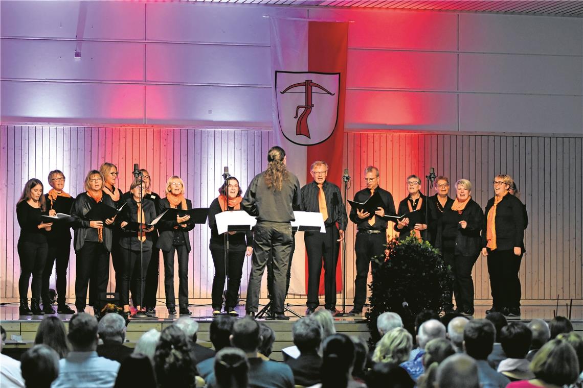 Mit zum Repertoire des Pop-Chors High Fidelity gehörten die Lieder „Mir im Süden“ und die Allmersbach-Hymne sowie die „Ode an die Freude“.