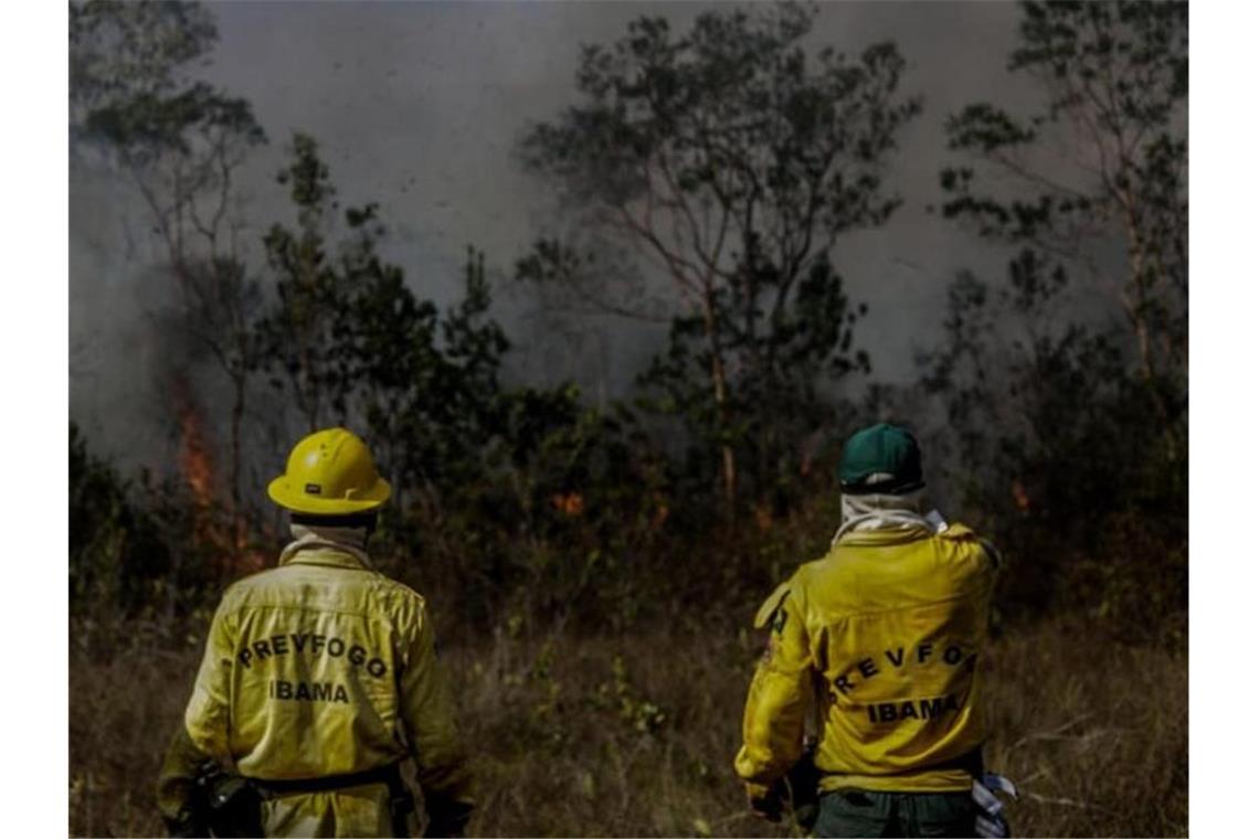 Mitarbeiter des IBAMA, der brasilianischen Umweltbehörde, stehen vor einem Brand in der Region Manicoré im Amazonasgebiet. Foto: Gabriela Biló/XinHua