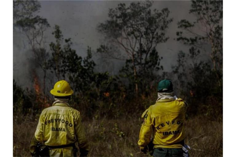 Mitarbeiter des IBAMA, der brasilianischen Umweltbehörde, stehen vor einem Brand in der Region Manicoré im Amazonasgebiet. Foto: Gabriela Biló/XinHua