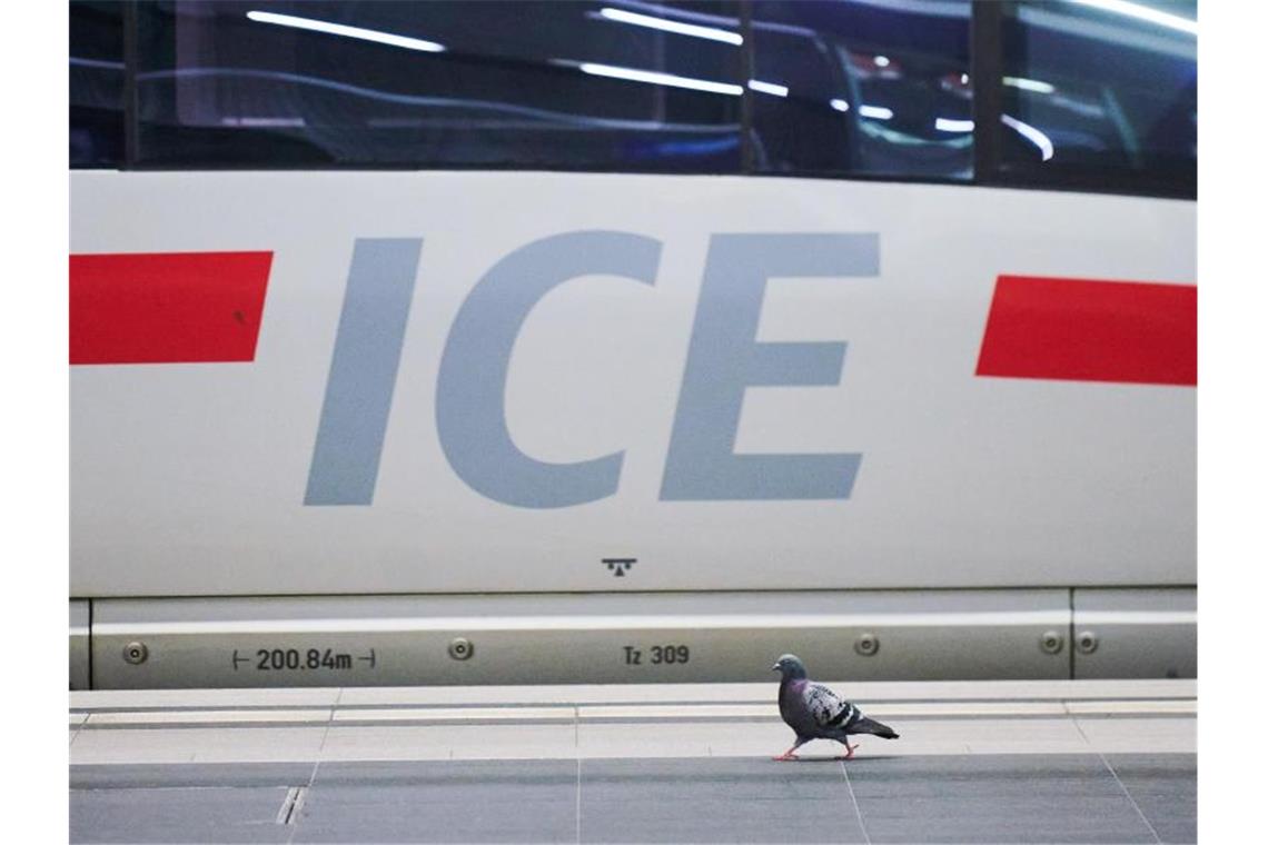 Mitfahren verboten! Eine Taube auf dem Hauptbahnhof Berlin. Foto: Annette Riedl/dpa