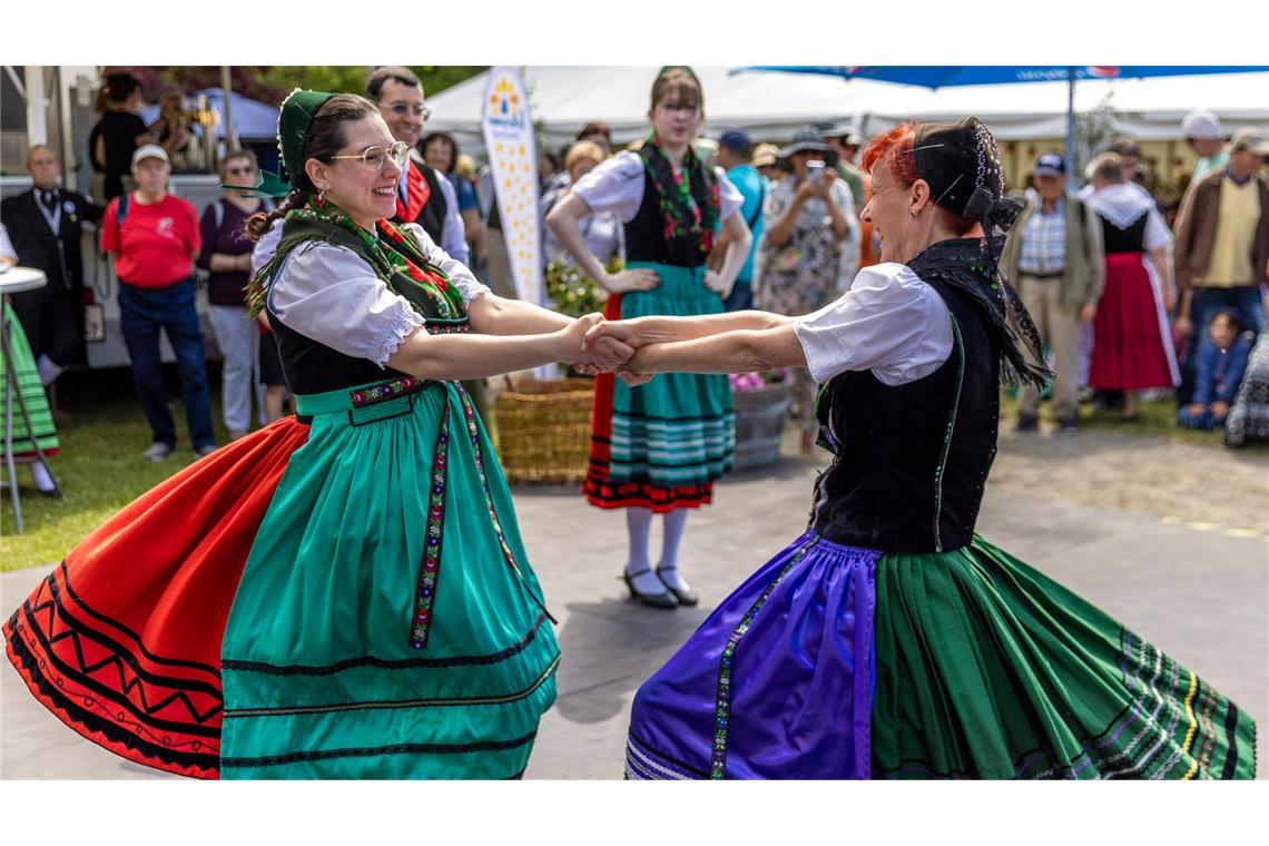 Mitglieder der Folkloretanzgruppe Berlin-Köpenick tanzen in Fläminger Sonntagstracht an der Bühne beim Deutschen Trachtentage in Lübbenau.