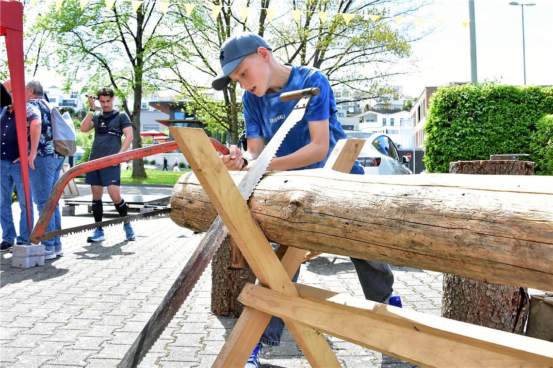 Mitmach-Aktion bei Holzbau Schleicher. Scheibenweise Baumstammsägen. Fleckaschau...