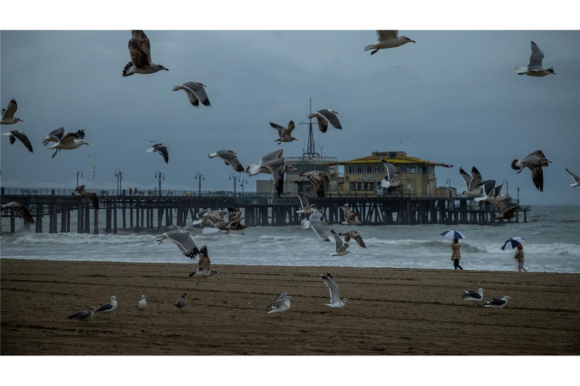 Möwen fliegen neben dem Santa Monica Pier nach heftigen Regenfällen in Kalifornien.