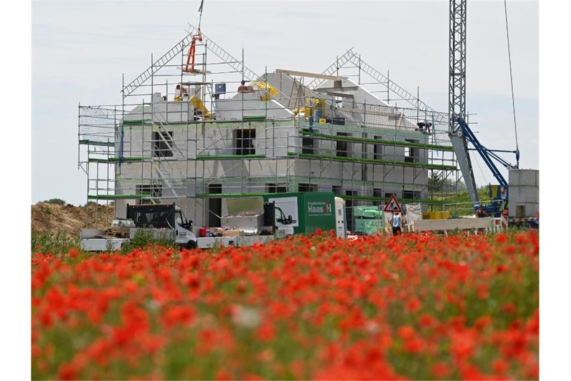 Mohnblüten stehen auf einer Wiese vor einem Rohbau, an dem Handwerker bauen. Foto: Patrick Seeger/Archivbild