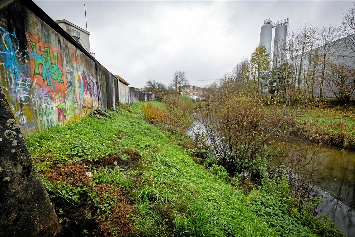 Drei Backnanger Projekte sollen zur IBA 2027 fertig sein Momentan versteckt sich die Murr noch hinter hohen Mauern. Künftig soll hier eine Uferpromenade verlaufen, die bei einem Hochwasser die Funktion eines Deichs übernimmt.