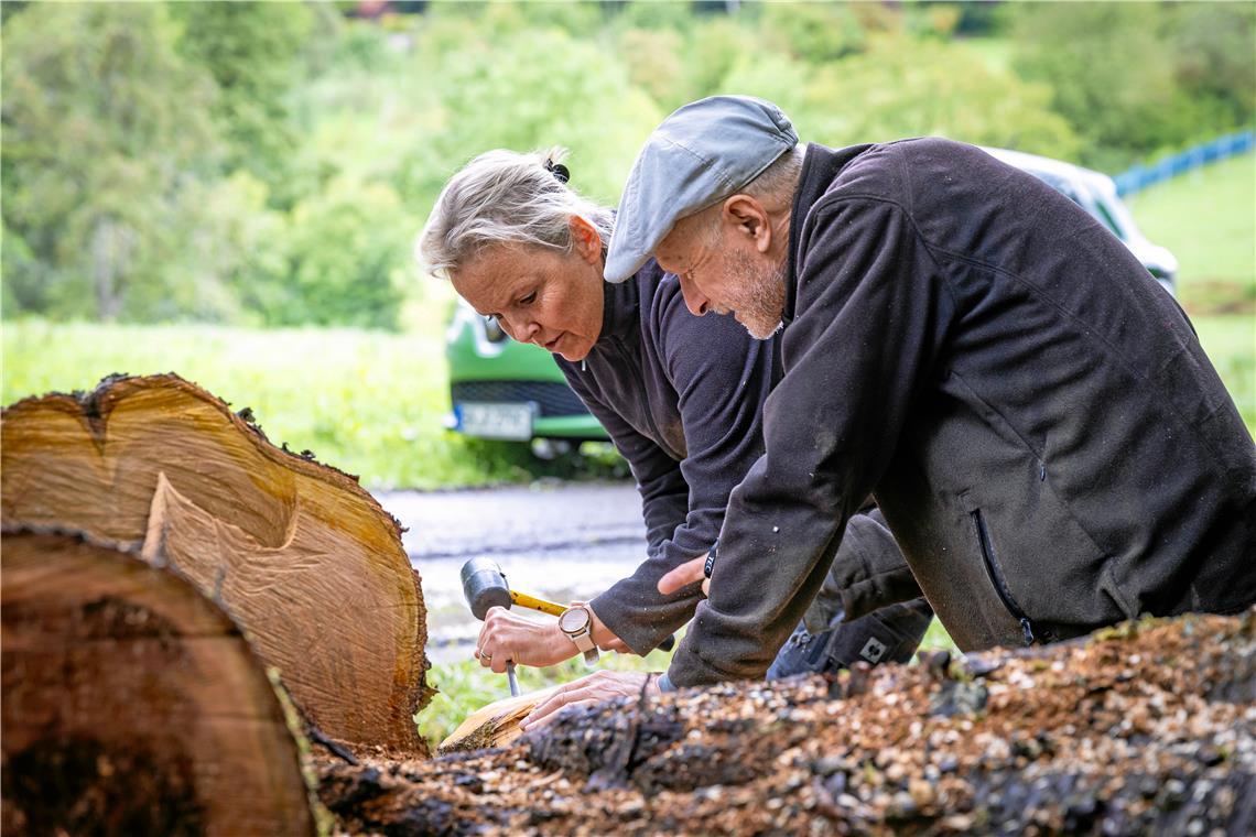 Planvoll oder intuitiv gestaltete Holzskulpturen Monica Schust (links) bearbeitet unter dem wachsamen Blick von Kursleiter Miklós Vajna behutsam das Holz. Fotos: Alexander Becher