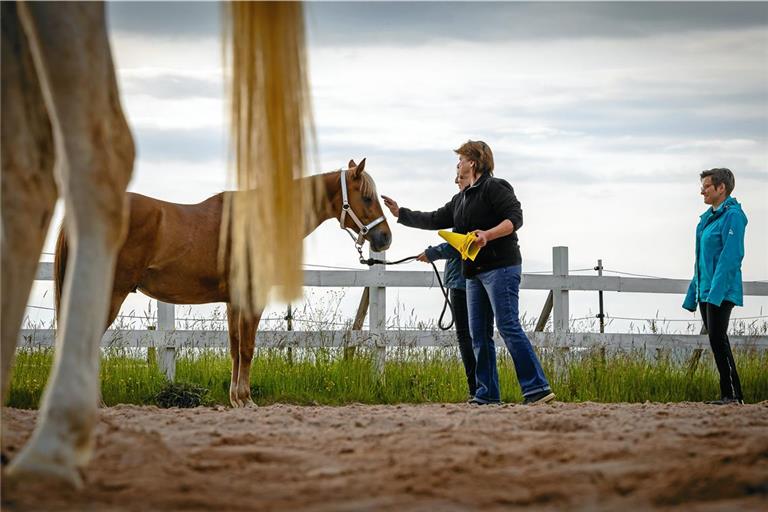Monika (mit gelbem Hütchen) und Katrin kommunizieren mit Nugget, Christina Müller (rechts) schaut dabei zu. Foto: Alexander Becher
