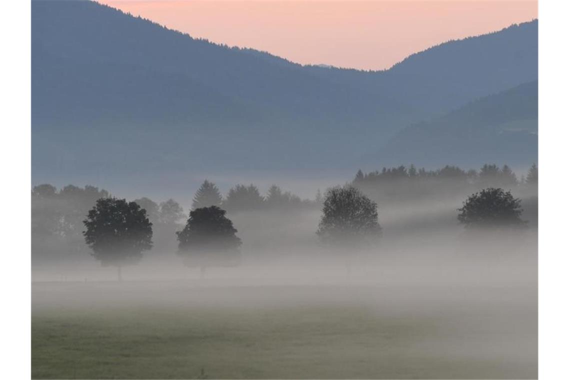 Morgennebel liegt über den Feldern in Bayern. Foto: Angelika Warmuth/dpa