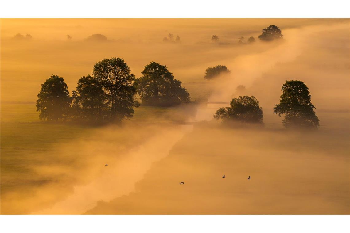 Morgennebel und Sonnenaufgang
