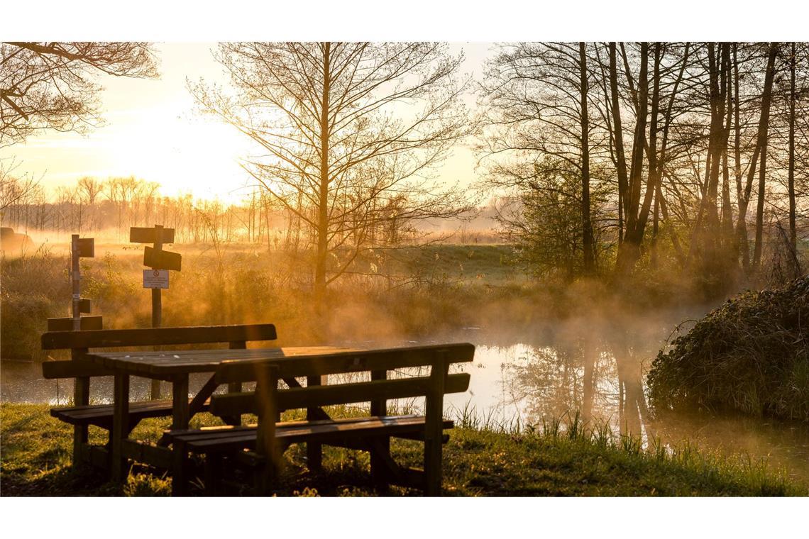 Morgens im Spreewald