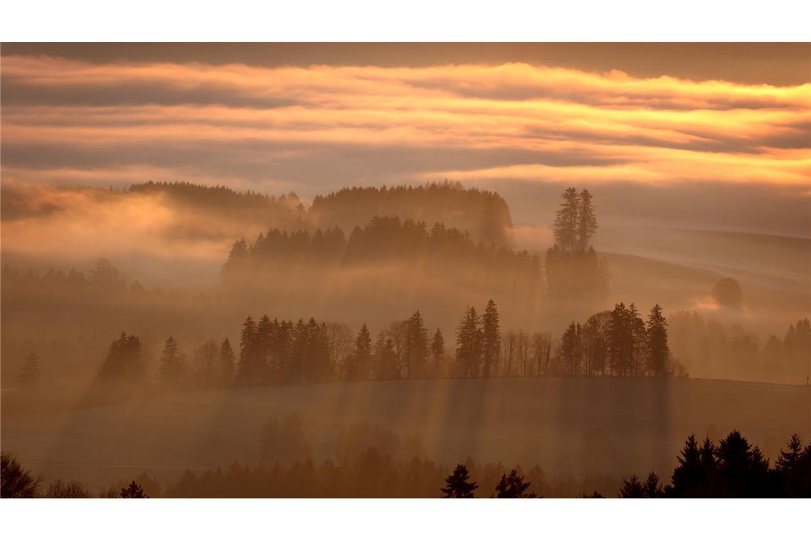 Bilder des Tages Morgensonne mit Nebel