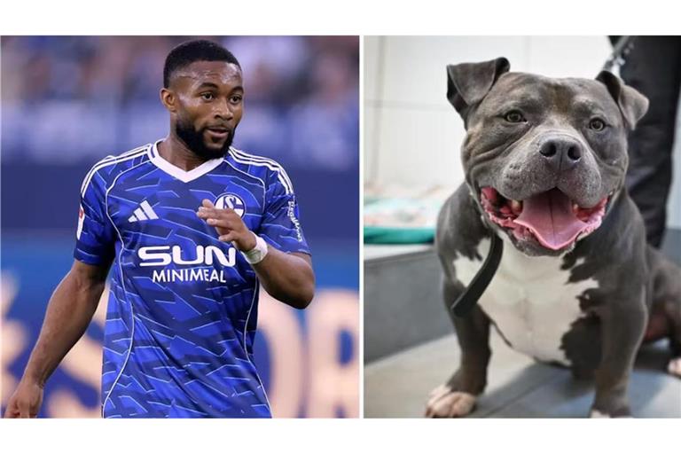 Moussa Sylla und Hund „Ghosty“