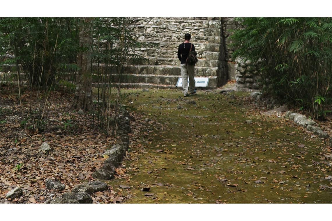 Ärger um MrBeast in Mexiko nach Video aus Maya-Stätten MrBeast hat sein Video auch an der archäologischen Stätte Calakmul gedreht. (Archivbild)