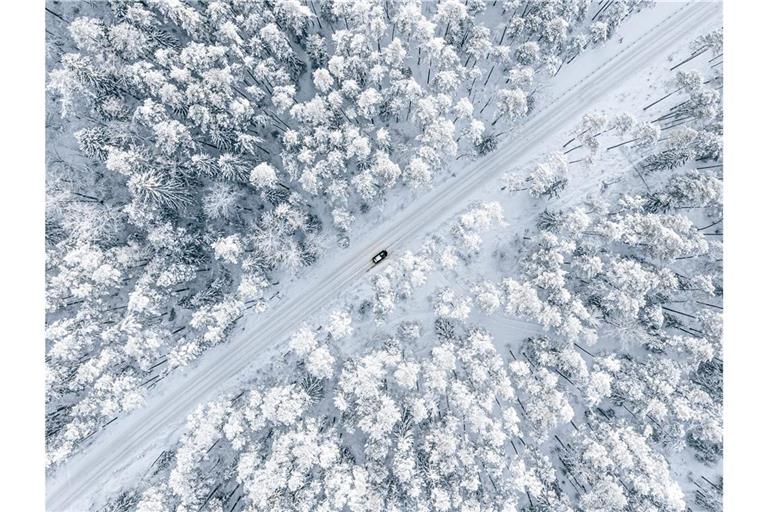 Müssen wir uns auf einen Jahrhundertwinter mit viel Schnee und eisiger Kälte einstellen? Was die Wettermodelle sagen und welche Prognosen die KI macht.