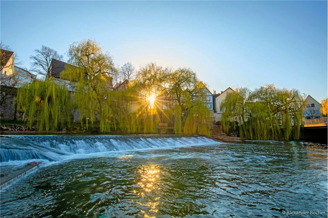 Murr mit Wehr und Sonnenuntergang, die Weiden werden grün.