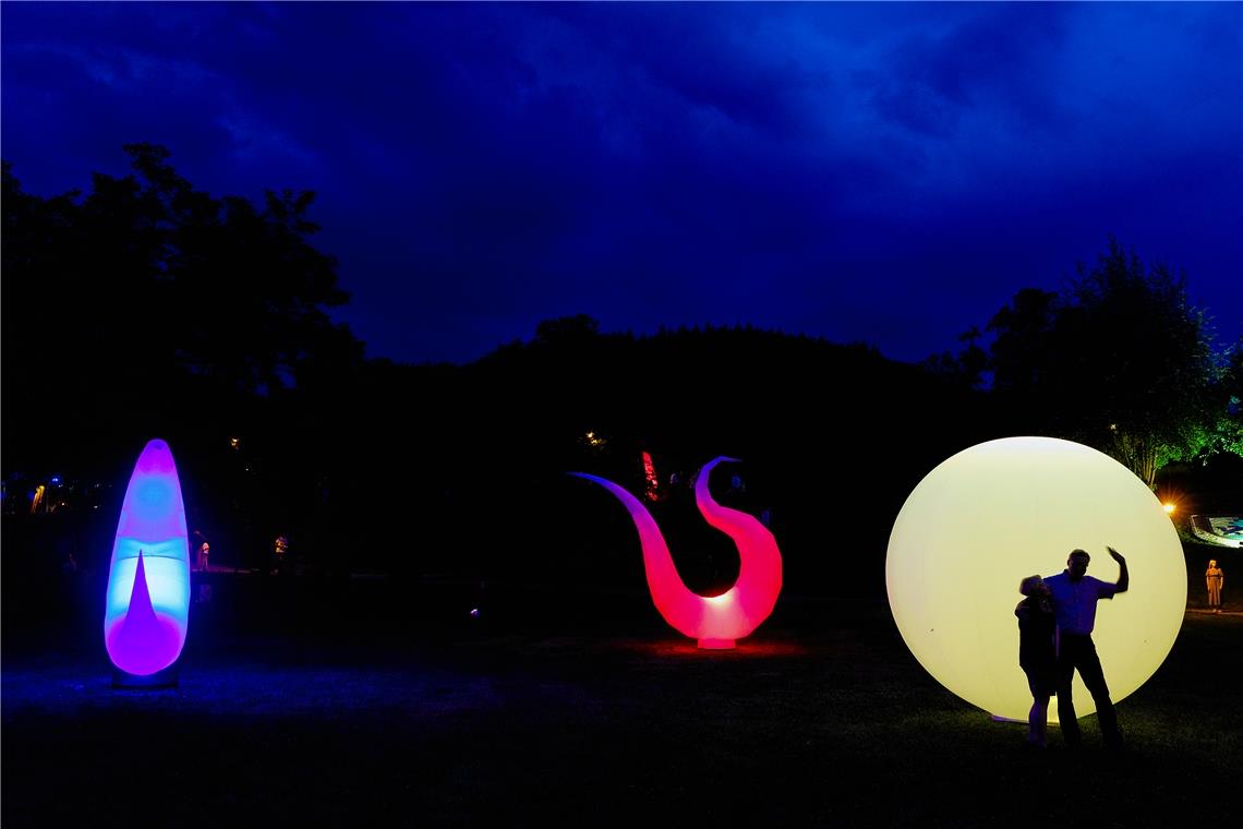     Murrhardter Stadtfest 2022 - Lichterglanz im Stadtgarten