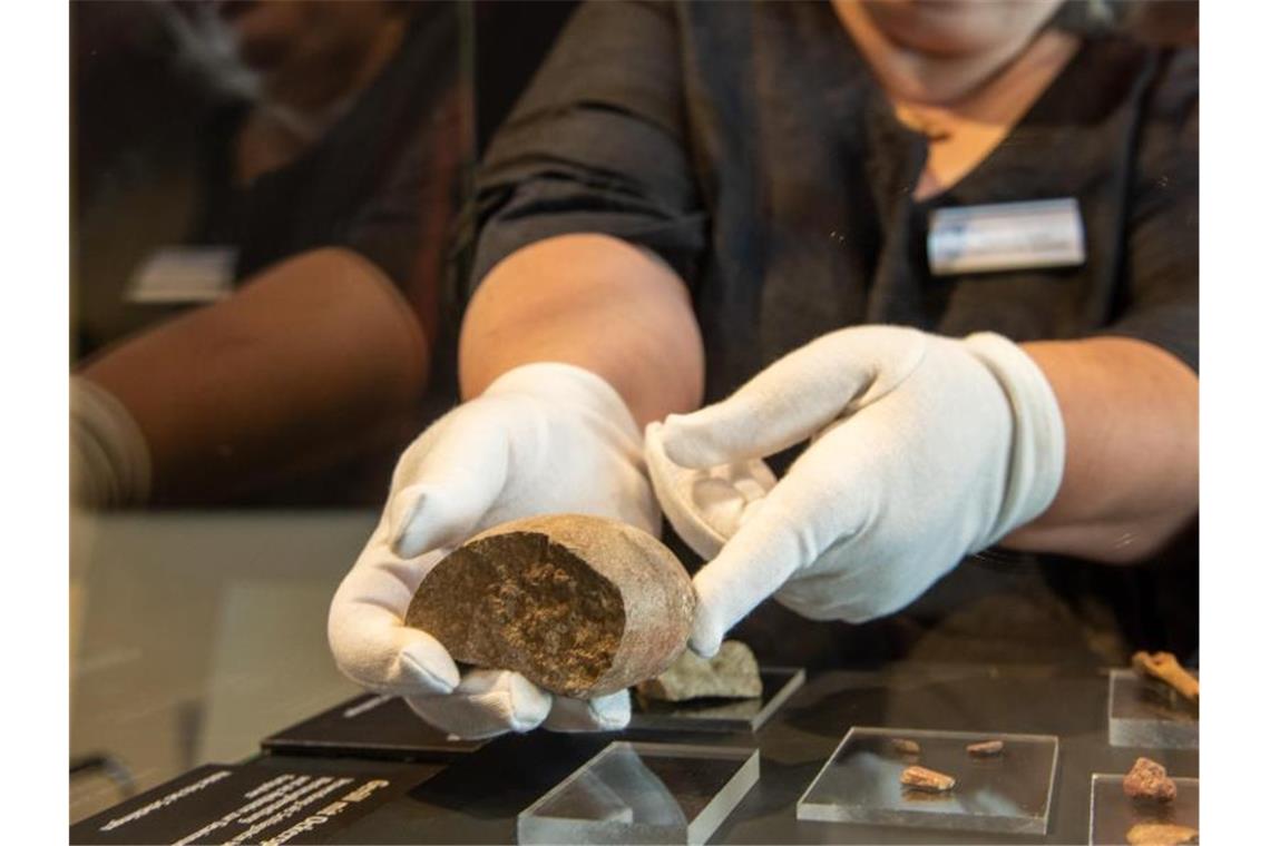 Reibestein „Fund des Jahres“: Farbe für Jäger und Sammler Museumleiterin Stefanie Kölbl legt im Urgeschichtlichen Museum einen Stein in eine Vitrine. Foto: Stefan Puchner