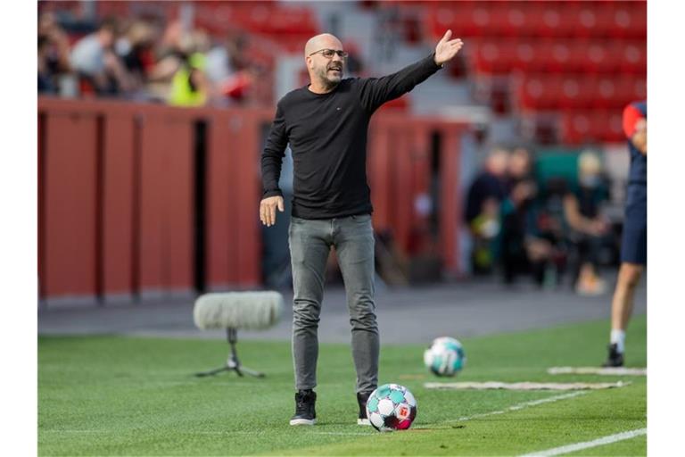 Muss versuchen die Abgänge zu kompensieren: Leverkusens Trainer Peter Bosz. Foto: Rolf Vennenbernd/dpa