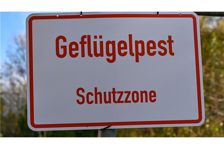 Vogelgrippe greift auf immer mehr Geflügel-Betriebe über Nach Angaben des Friedrich-Loeffler-Instituts sind immer mehr Geflügelhaltungen in Deutschland von der Geflügelpest betroffen. In Betrieben in neun Bundesländern gab es bislang Seuchenausbrüche. (Symbolbild).